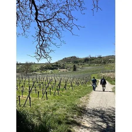 Holiday Tannengruen Eichstetten