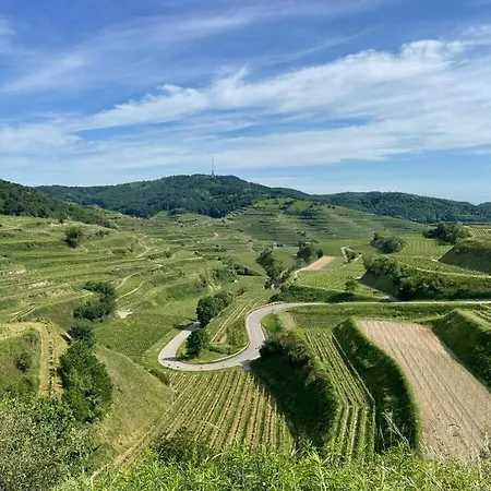 Holiday Tannengruen Eichstetten